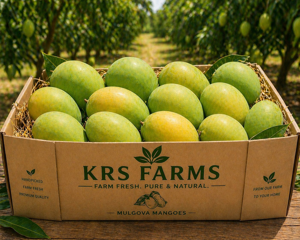 Malgova Mangoes-5kg BOX