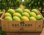 Malgova Mangoes-5kg BOX